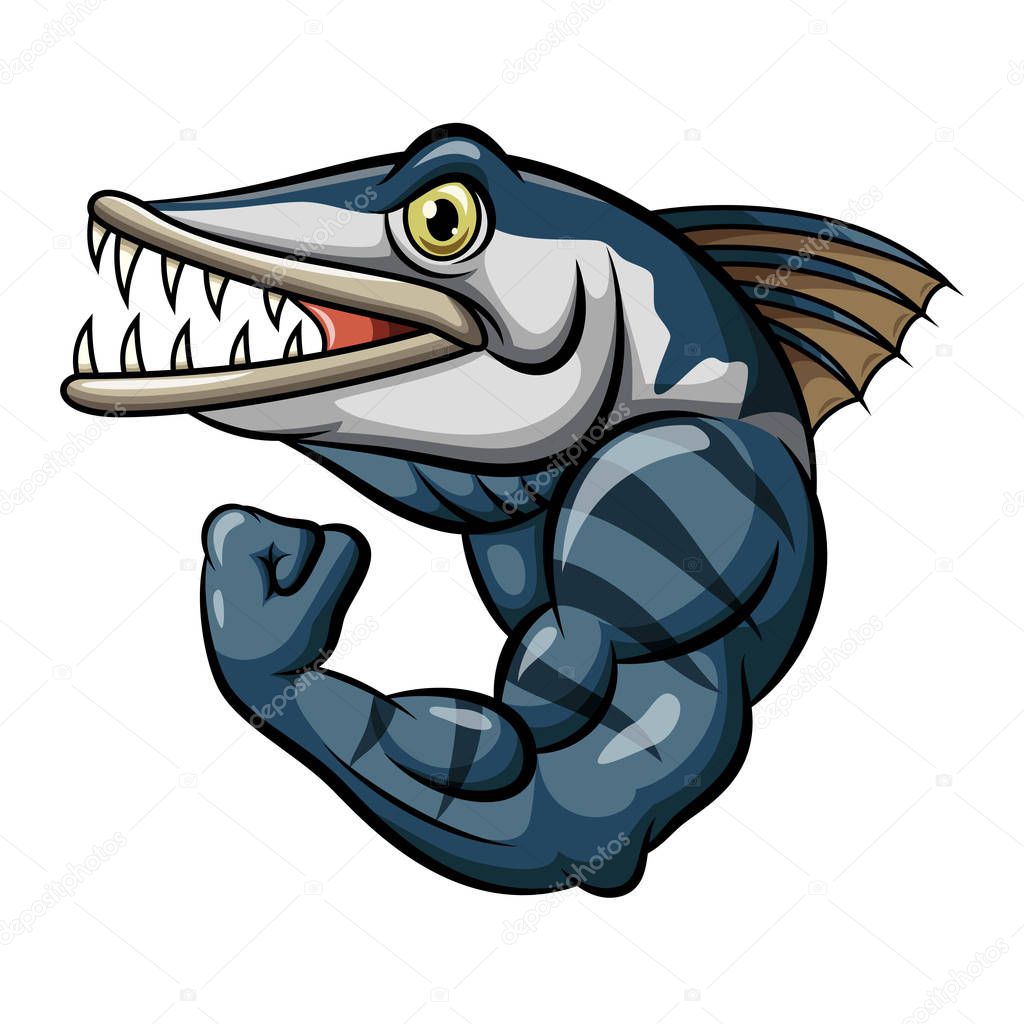 Cartoon strong angry barracuda fish mascot