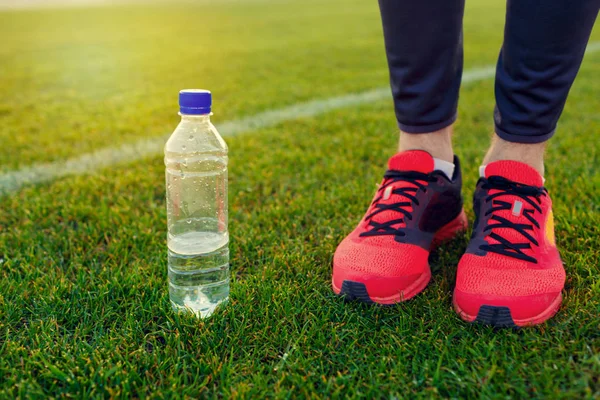 Mantar yeşil çimen spor stadyum