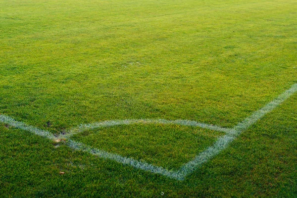 Green grass in a sports stadium in the summer — Stock Photo, Image