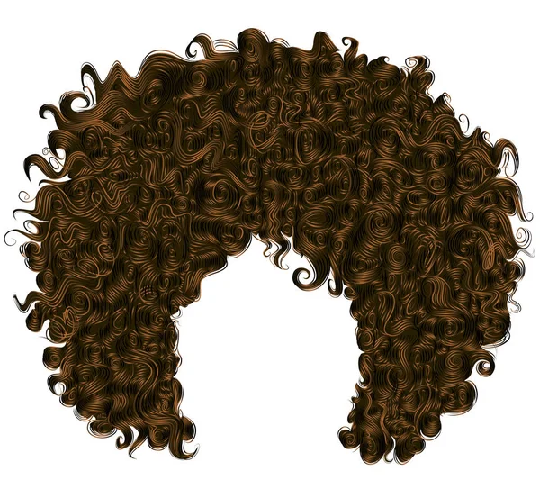 Cheveux brun foncé bouclés à la mode. 3d réaliste. coiffure sphérique  . — Image vectorielle