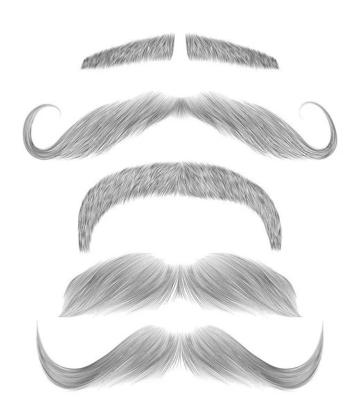 Set different sketch mustache . — Stock Vector