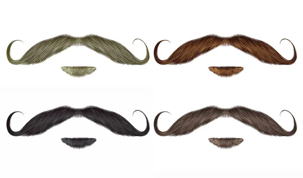 Set vecteur Moustache barbe et tourbillon de différentes couleurs . — Image vectorielle