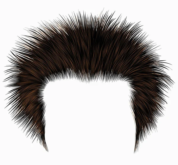 Trendy Shaggy Man Hairs Black Eur Beauty Style High Hair — стоковый вектор
