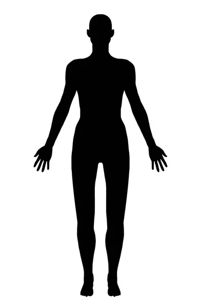 Silhouette du corps isolée — Image vectorielle