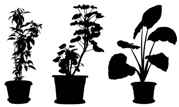 Conjunto de diferentes plantas en macetas — Vector de stock