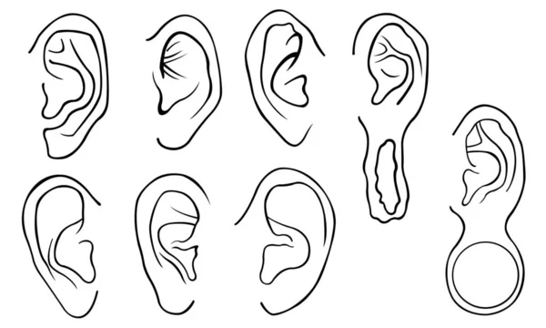 Set of different ears — Stock Vector