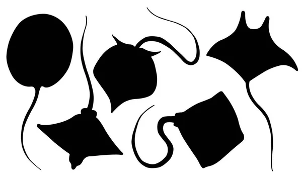 Set of different stingray silhouettes — Stock Vector