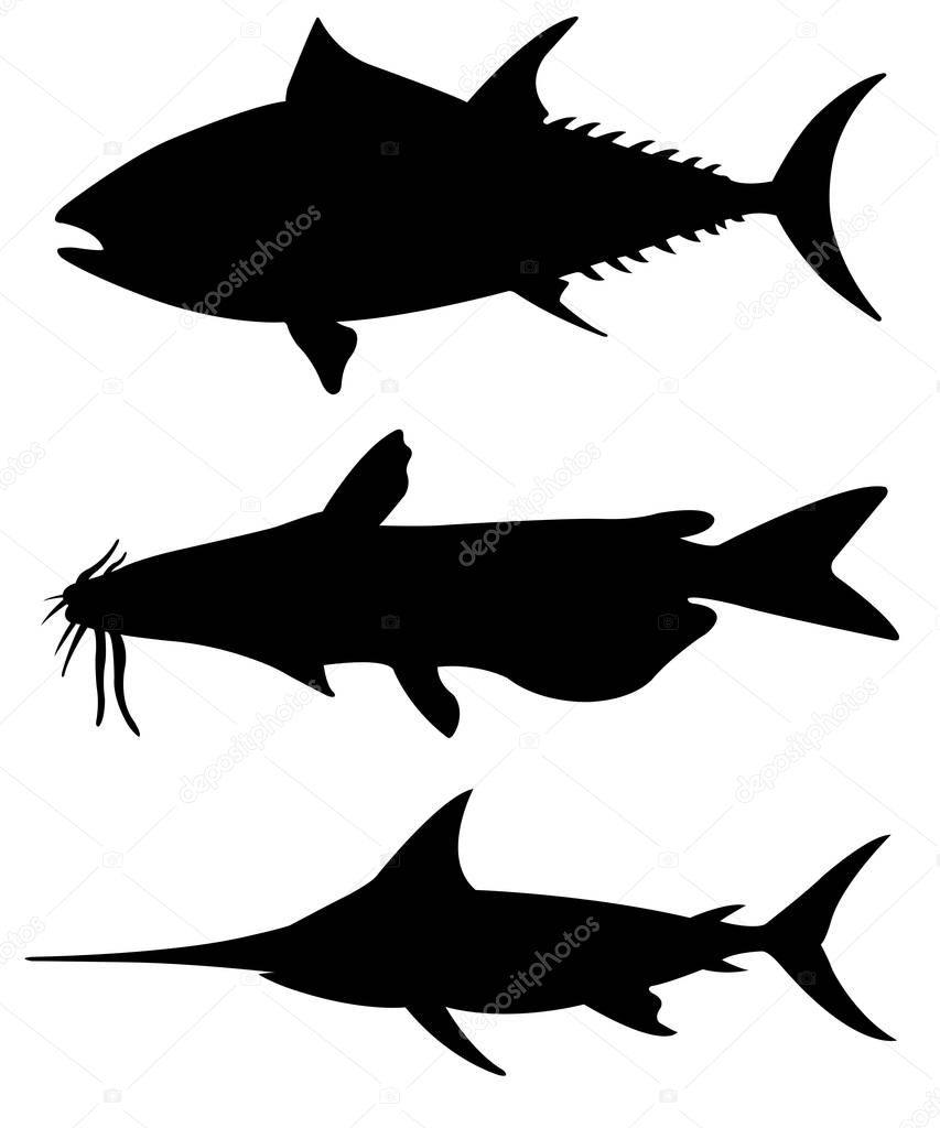 Set of different big fish silhouettes 