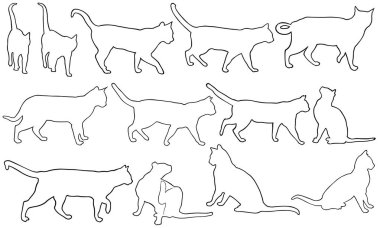 farklı kediler kümesi 