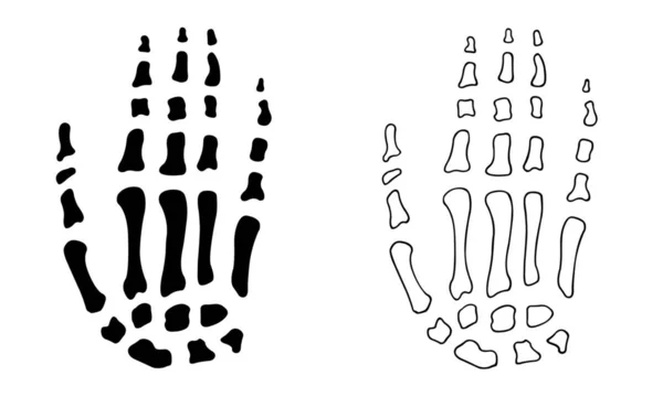 手骨头的插图 — 图库矢量图片