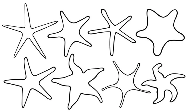 Набор различных морских звёзд — стоковый вектор