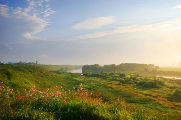 Сільський пейзаж з річкою в літній час Стокова Картинка