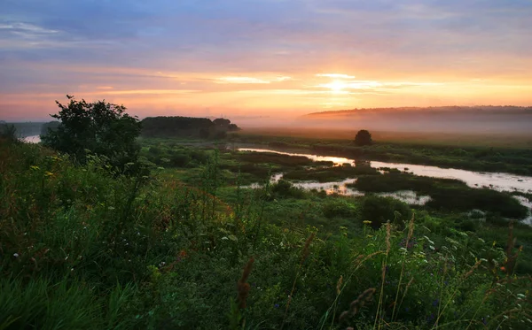 Сільський пейзаж з річкою в літній час Стокове Зображення