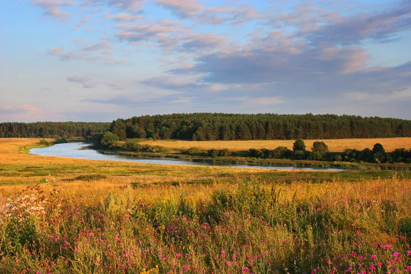 Сільський пейзаж з річкою в літній час Ліцензійні Стокові Фото