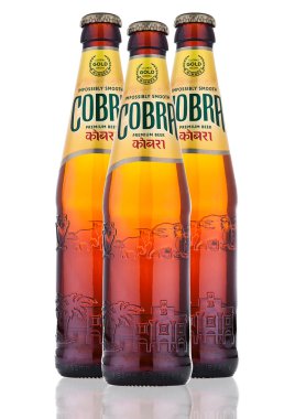 Londra, İngiltere - 06 Ekim 2016: Cobra Premium bira beyaz bir arka planda Cobra sigorta primi bira en iyi doğal malzemeler kullanarak bir Otantik Hint tarifi için demlenmiş % 5.0