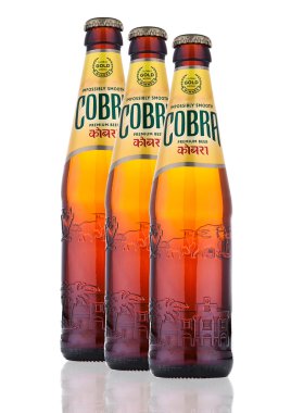 Londra, İngiltere - 06 Ekim 2016: Cobra Premium bira beyaz bir arka planda Cobra sigorta primi bira en iyi doğal malzemeler kullanarak bir Otantik Hint tarifi için demlenmiş % 5.0