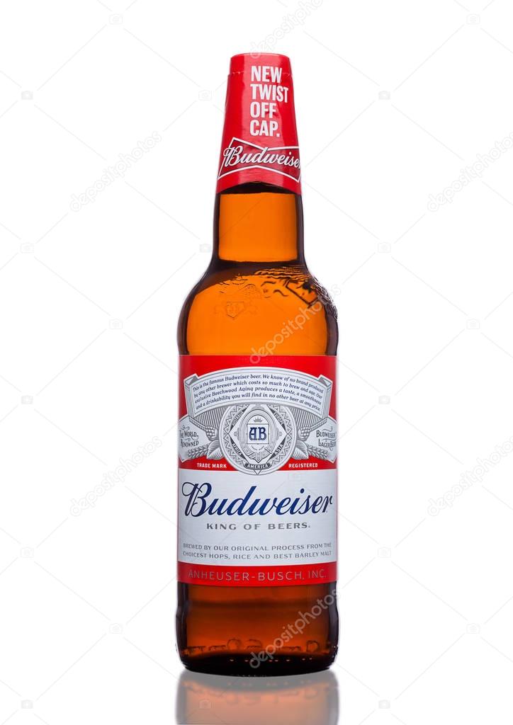 LONDON,UK - MARCH 21, 2017 : Bottle of Budweiser Beer with new twist off cap on white background. An American lager first introduced in 1876.