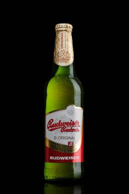 Londra, İngiltere - 30 Mart 2017: Budweiser Budvar şişe bira üstünde siyah, bir Çek Cumhuriyeti en yüksek satış bira.