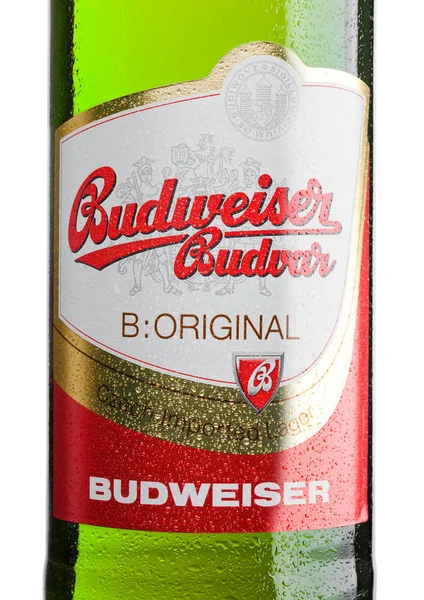 Featured image of post Budweiser Gelada Na Mesa Ensinamos dicas e t cnicas que facilitam a vida na cozinha