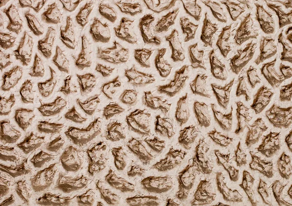 Ελεφαντόδοντο grunge Πέτρα υφή φόντου με τρύπες — Φωτογραφία Αρχείου