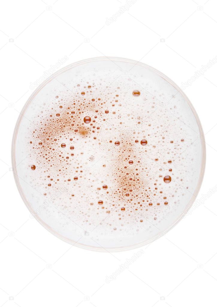 Glass of lager ale beer top view with foam