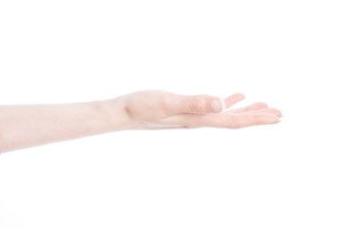 Güzel kadın eli close-up. Yukarı palmiye