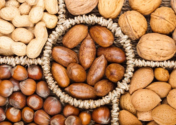 Koš dosáhnout v různých druzích ořechů ve skořápce — Stock fotografie