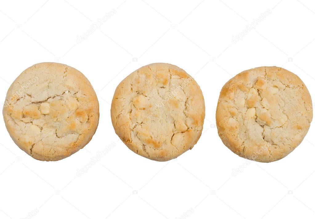 White chocolate biscuit cookie on white background.