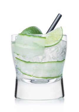 Buzlu, saman, salatalık ve limon dilimli modern bardakta Gimlet kokteyli.. 