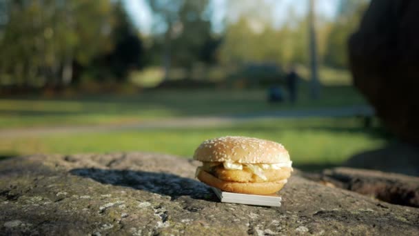 岩の上に横たわるチキンと準備ができて素敵なハンバーガー。歩くぼけの人の背景。カメラの移動 — ストック動画