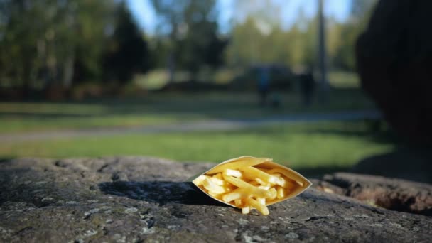 フライド ポテトは、パッケージの通り石にかかっています。美しいファーストフード、カメラを移動. — ストック動画