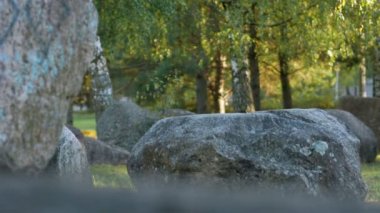 Park büyük taşlar. Erken sonbahar. kamera hareketli