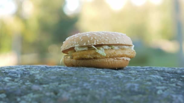 Prêt hamburger agréable avec poulet couché sur un rocher. Dans le contexte de personnes floues marchant. déplacer la caméra — Video