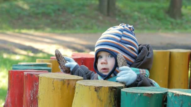 Bella bambina sta giocando nel parco autunnale. Il bambino è caldamente vestito in un vestito e un cappello con una sciarpa, il ragazzo circa un anno. — Video Stock