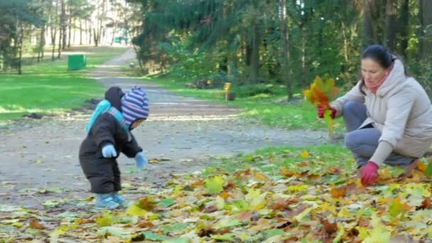 Beau bébé joue dans le parc d'automne avec sa mère sur les feuilles tombées. L'enfant est chaudement vêtu d'un costume et d'un chapeau avec une écharpe, le garçon environ un an — Video