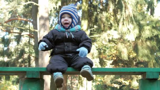 Beautiful baby is playing in autumn park. The child is warmly dressed in a suit and a hat with a scarf, the boy about a year — Stock Video