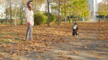 Güzel bebek annesi hakkında düşen yapraklar ile sonbahar parkta oynuyor. Bir çocuk bir beyaz futbol topuyla çocuk yaklaşık bir yıl oynar.