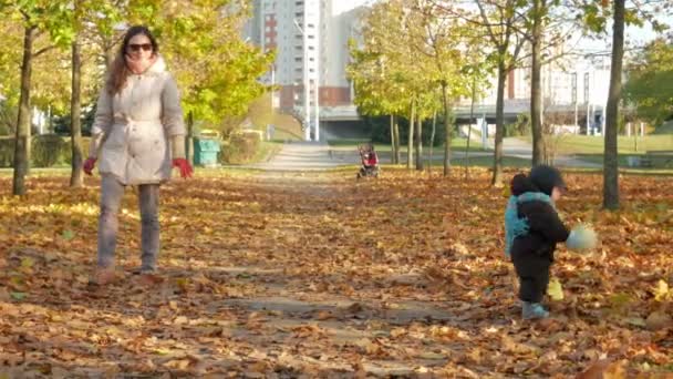 Vacker baby spelar i höstens park med sin mor om nedfallna löv. Ett barn leker med en vit fotboll, pojken ungefär ett år — Stockvideo