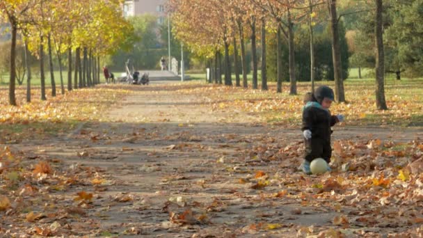 Hermoso bebé está jugando en el parque de otoño. El niño está calurosamente vestido con un traje y un sombrero con una bufanda, el niño alrededor de un año — Vídeo de stock