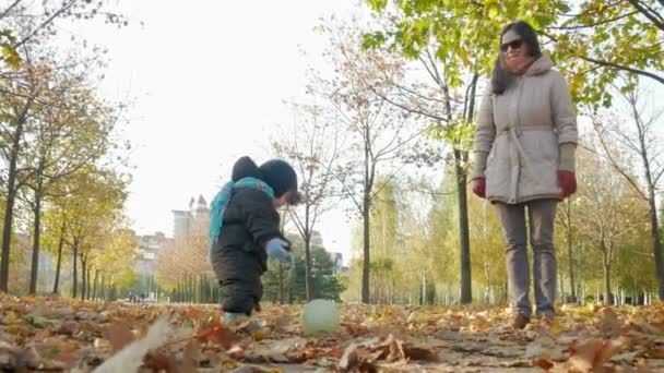 Krásné miminko hraje v podzimním parku s matkou o spadané listí. Dítě si hraje s bílým fotbalový míč, chlapec asi rok — Stock video