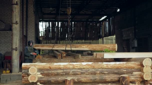 Bouwer verhoogt houten hout met Overhead Lier kraan. Een man houdt een logboek en het overbrengen van de toekomstige woning — Stockvideo