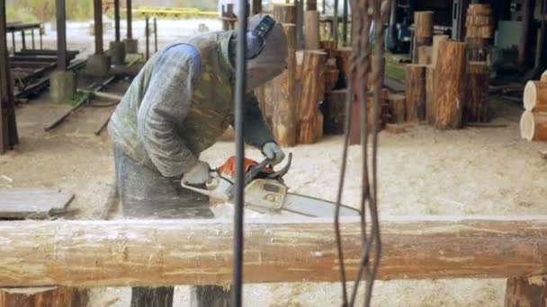 Чоловік робить кучеряве різання деревини бензопилою. Колода стане частиною майбутнього дерев'яного будинку. Захисна маска для обличчя на обличчі будівельника і багато тирси . — стокове відео