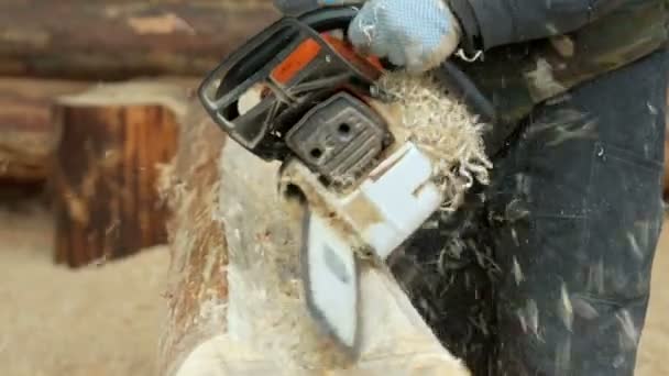 人は、チェーンソーに木材を切断中を作る。ログを木造住宅の未来の一部となります。ビルダーとおがくずの多くの表面保護フェイス マスク. — ストック動画