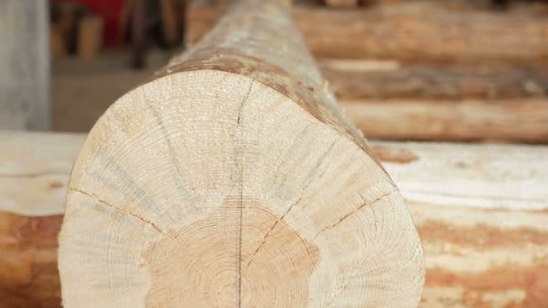 Background: wooden logs in the future house. Close-up and moving camera — Stock Video