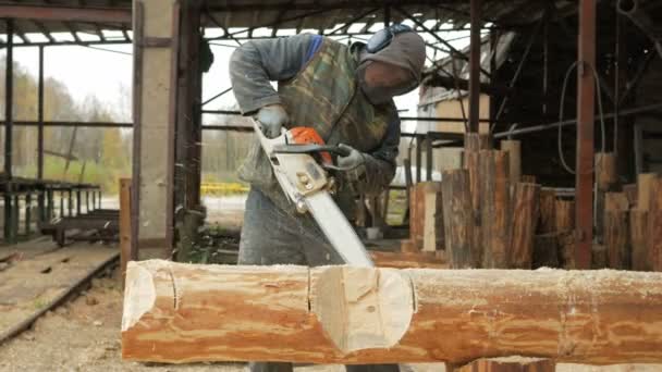 Mann schneidet Holzkettensäge für künftiges Eigenheim Schutzmaske auf dem Gesicht des Bauarbeiters und jede Menge Sägemehl. Hangar mit einem Teil der zukünftigen Heimat im Hintergrund — Stockvideo