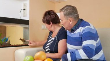 Üst düzey bir çift bir akvaryum balık ev bakarak dinlenme. Onlar yakından izliyor ve birlikte eğlenmek.