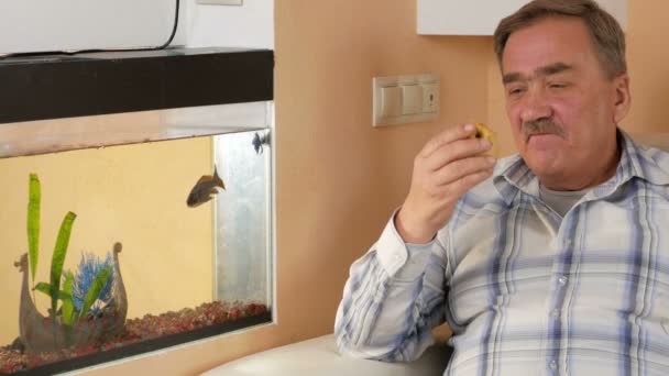 Hombre viejo bigote descansando en casa y come una manzana. Mira peces en un acuario y mordeduras de frutas. — Vídeos de Stock