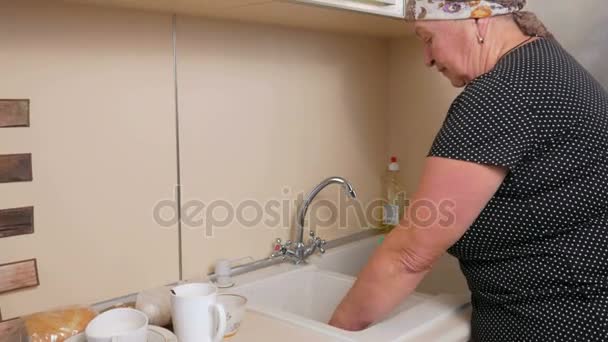 Frau im Alter spült Geschirr zu Hause auf huhne. Sie wischt vorsichtig Tasse und Gabelschwamm ab. es verwendet ein Reinigungsmittel — Stockvideo