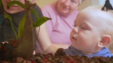 Güzel bebek evde bir akvaryum balık bakar. Annem ve büyükannem kanepede oturan ve oğluyla konuşuyor