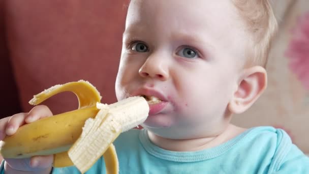 Un beau garçon de 2 ans mange une banane. Asseyez-vous à la table à la maison. Regardez attentivement les dessins animés à la télévision . — Video